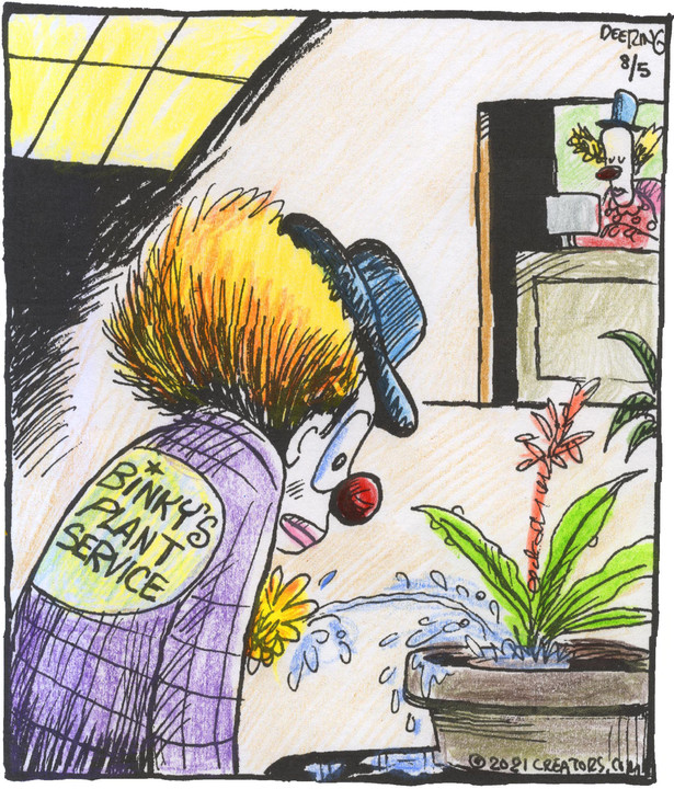 Strange Brew for Aug 05, 2021