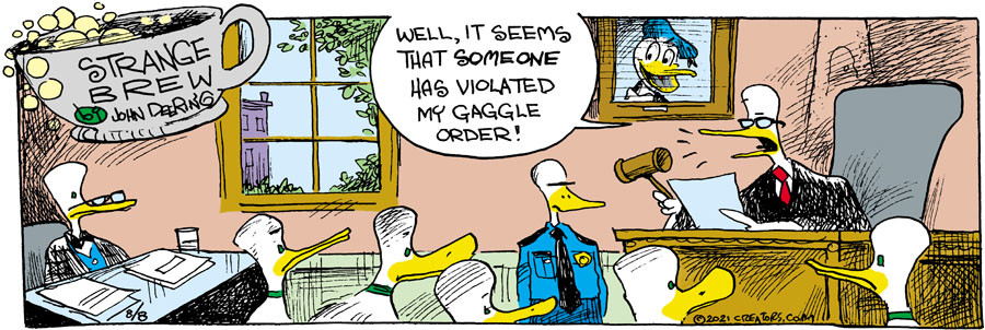 Strange Brew for Aug 08, 2021