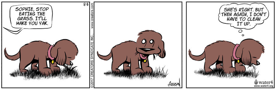 Dog Eat Doug for Aug 08, 2022