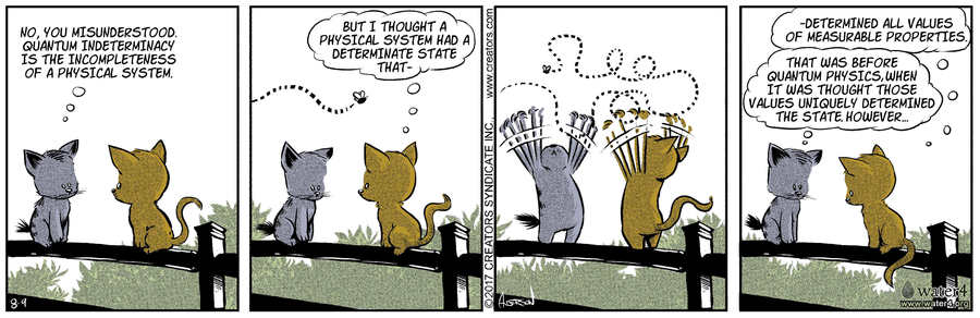 Dog Eat Doug for Aug 09, 2022