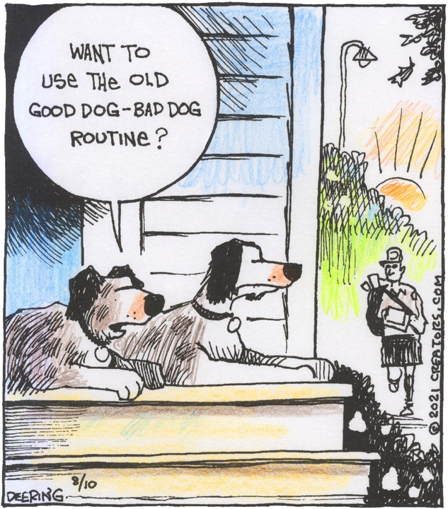 Strange Brew for Aug 10, 2021