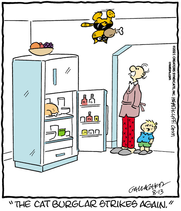 Heathcliff for Aug 13, 2021