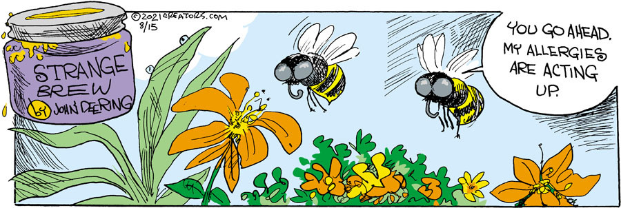 Strange Brew for Aug 15, 2021