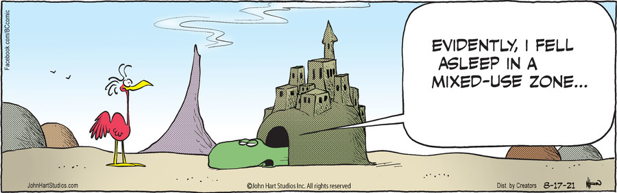 B.C. for Aug 17, 2021