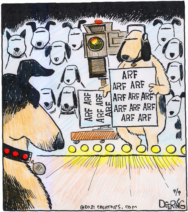 Strange Brew for Sep 09, 2021