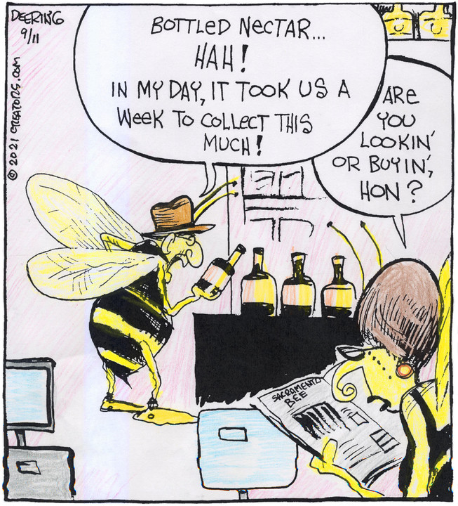 Strange Brew for Sep 11, 2021