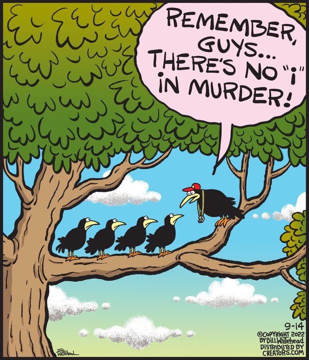 Free Range for Sep 14, 2022