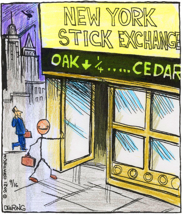 Strange Brew for Sep 16, 2021