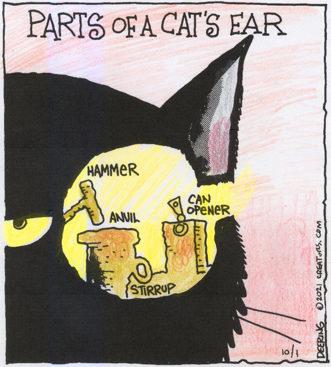 Strange Brew for Oct 01, 2021