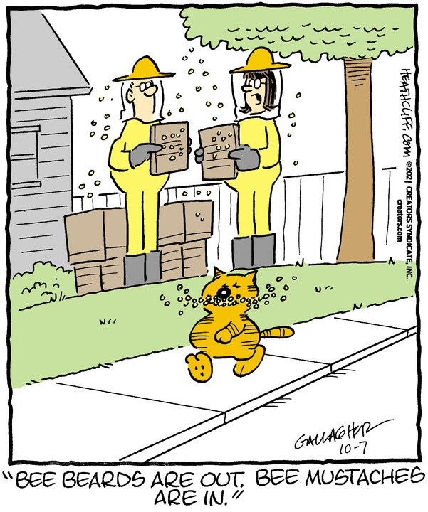 Heathcliff for Oct 07, 2021