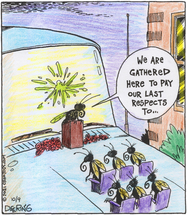 Strange Brew for Oct 09, 2021