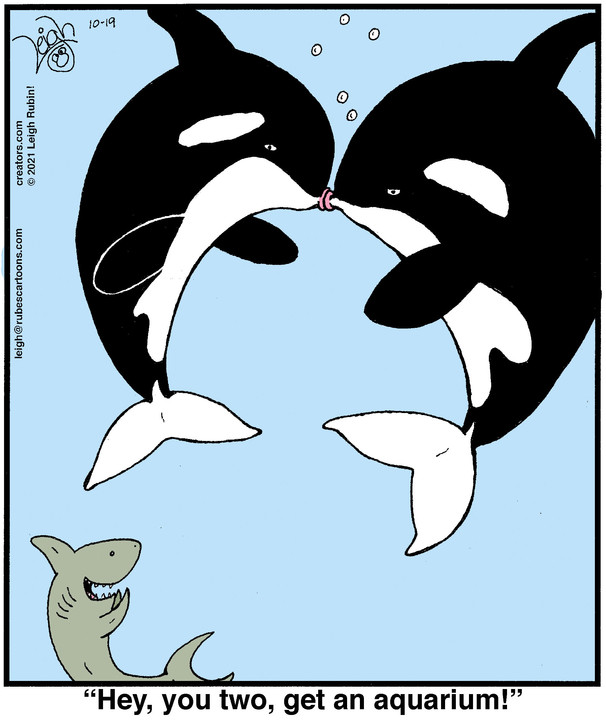 Rubes® for Oct 19, 2021