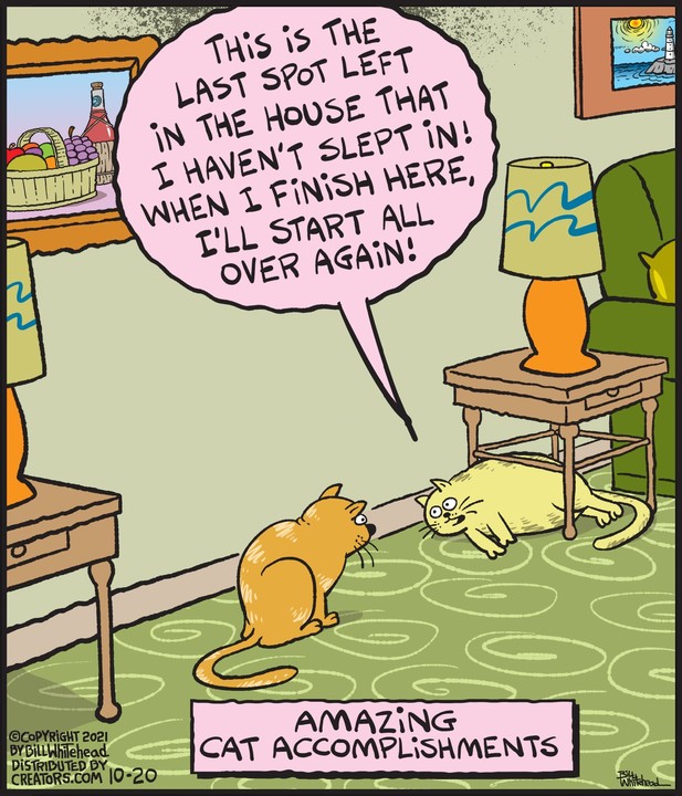 Free Range for Oct 20, 2021