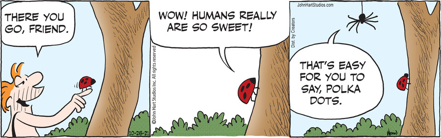 B.C. for Oct 28, 2021