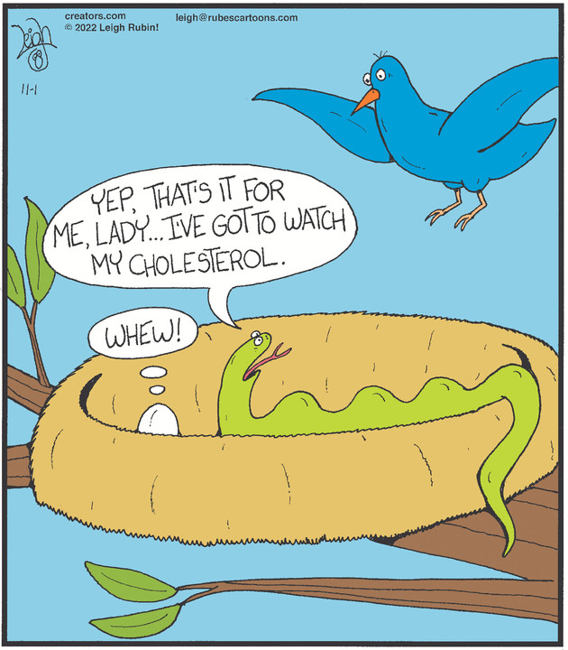 Rubes® for Nov 01, 2022