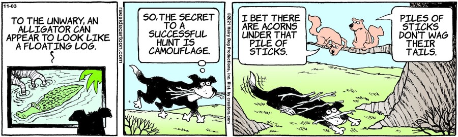 The Other Coast for Nov 03, 2021