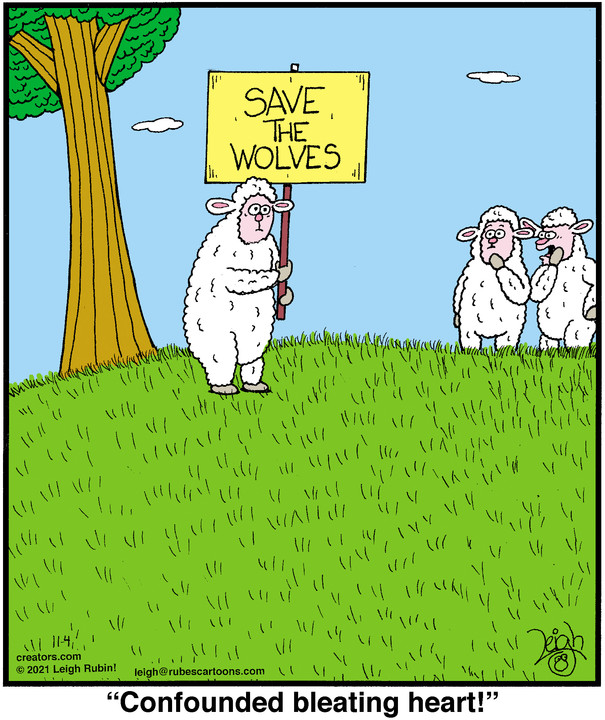 Rubes® for Nov 04, 2021