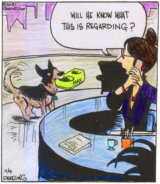 Strange Brew for Nov 04, 2021