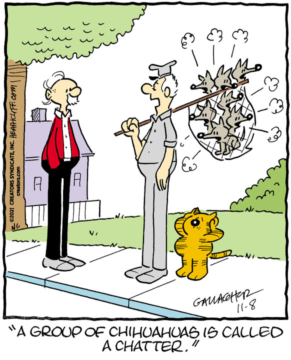 Heathcliff for Nov 08, 2021