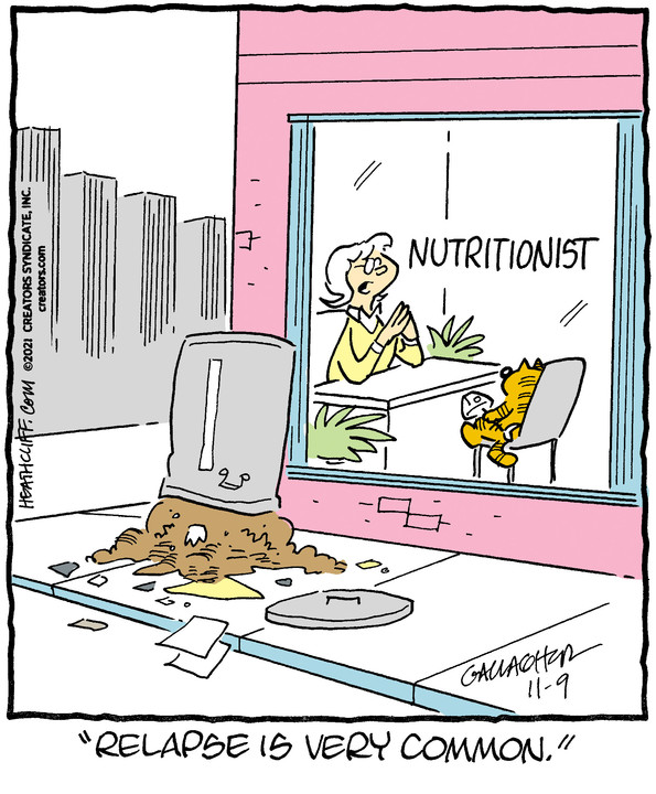 Heathcliff for Nov 09, 2021