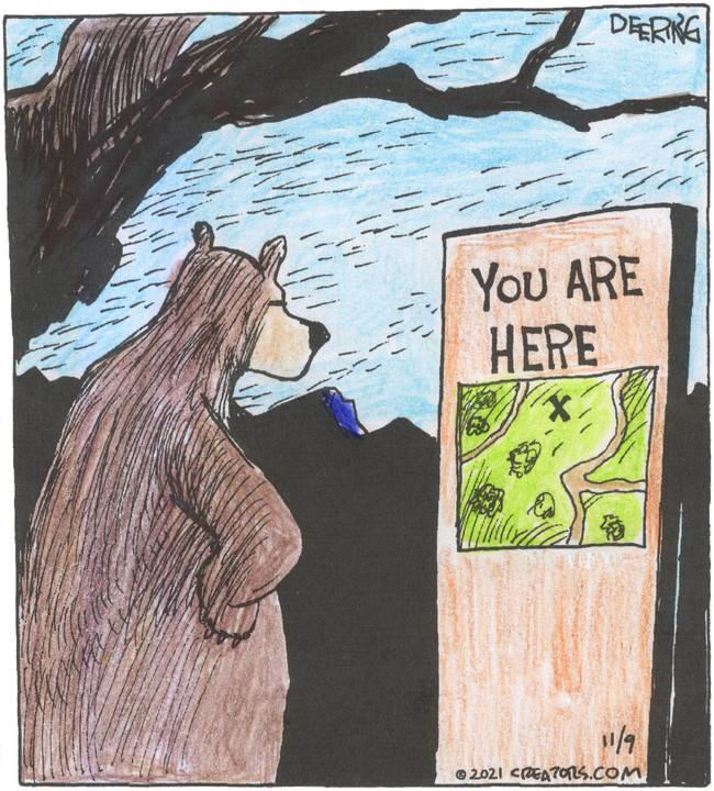 Strange Brew for Nov 09, 2021