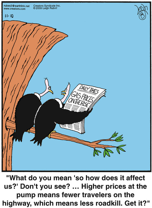 Rubes® for Nov 10, 2021