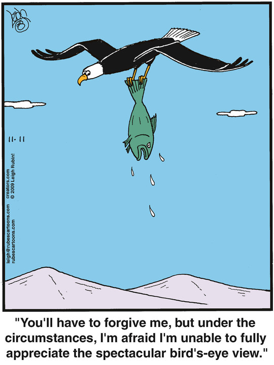 Rubes® for Nov 11, 2021