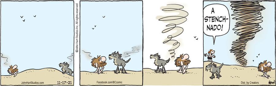 B.C. for Nov 17, 2021