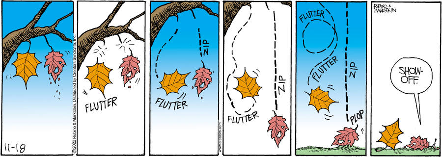 Daddy's Home for Nov 18, 2022