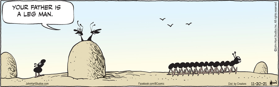 B.C. for Nov 20, 2021