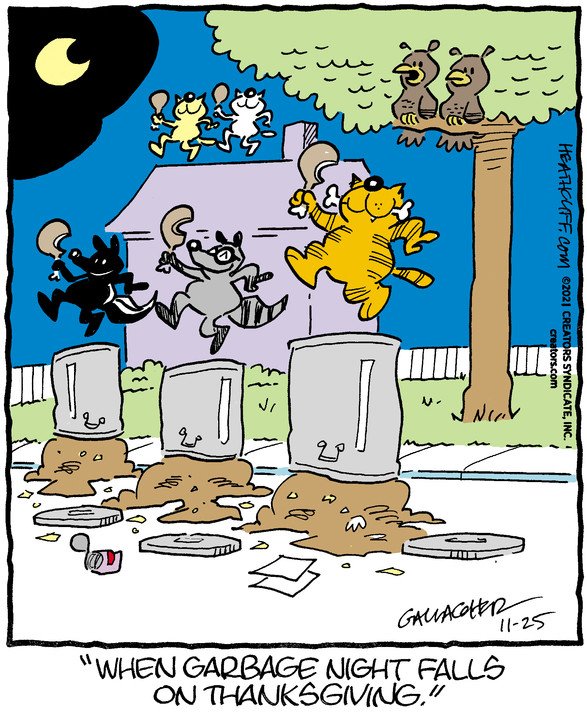 Heathcliff for Nov 25, 2021