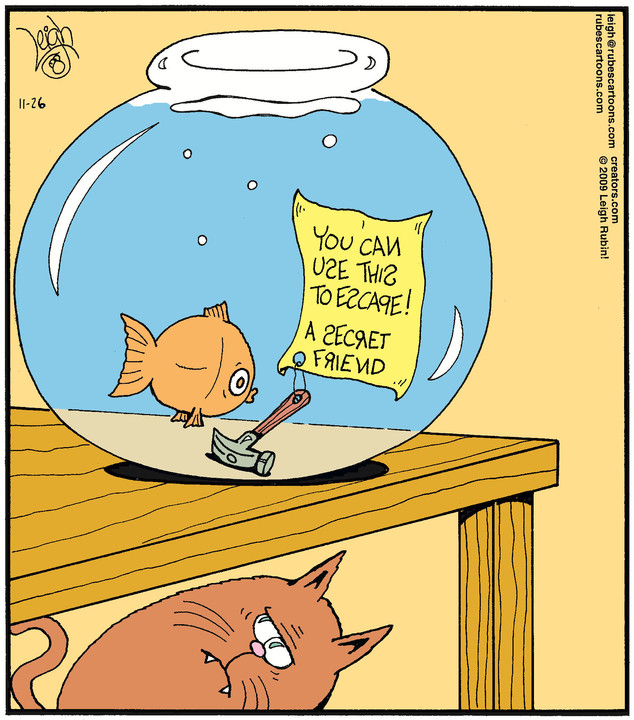 Rubes® for Nov 26, 2021