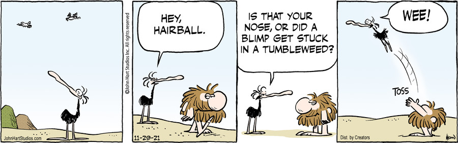 B.C. for Nov 29, 2021