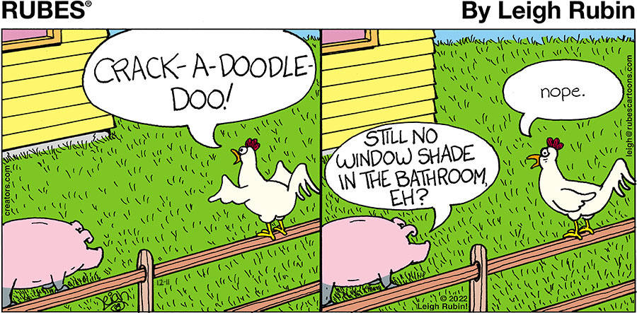 Rubes® for Dec 11, 2022