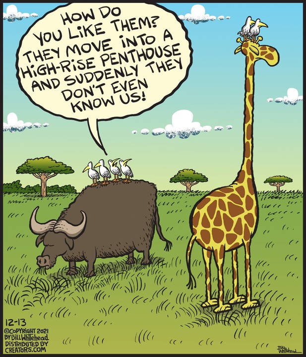 Free Range for Dec 13, 2021