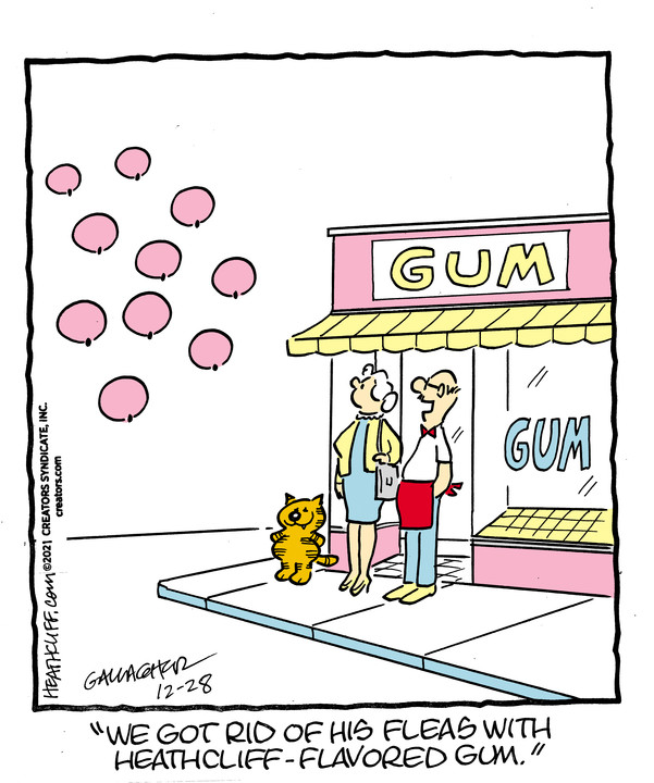 Heathcliff for Dec 28, 2021