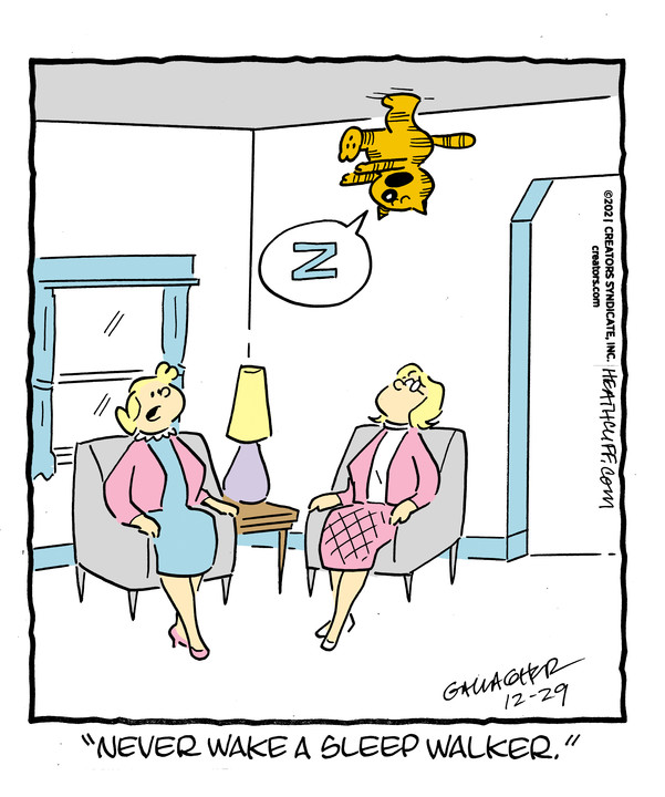Heathcliff for Dec 29, 2021