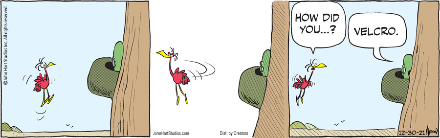 B.C. for Dec 30, 2021