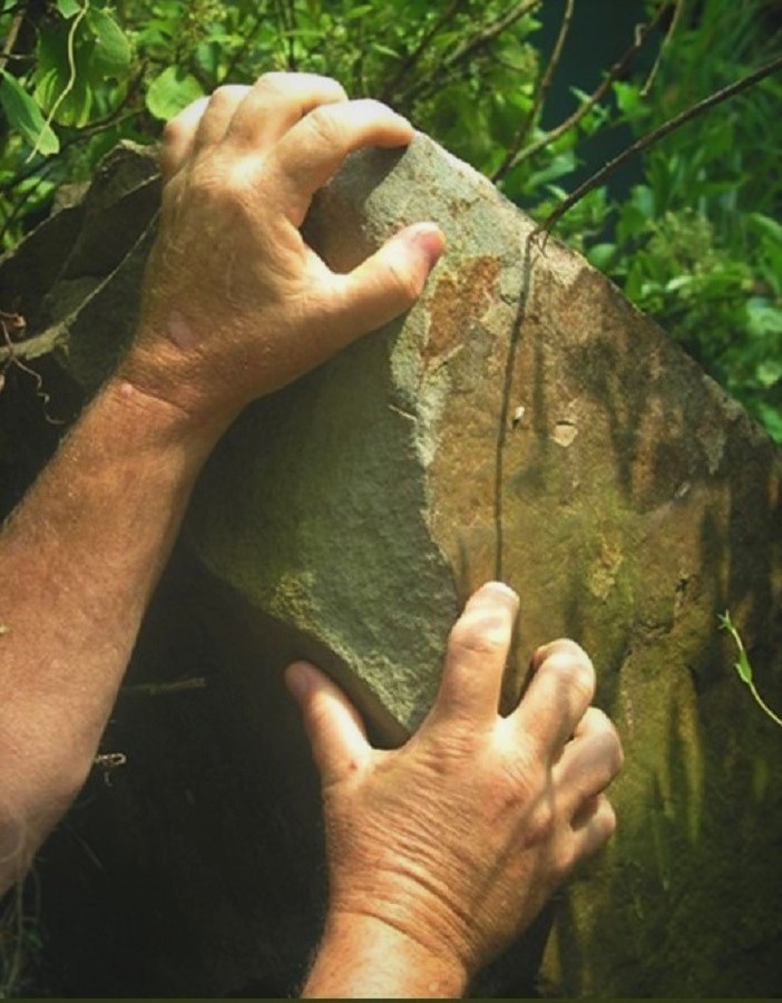 Gardening is a never-ending struggle. 