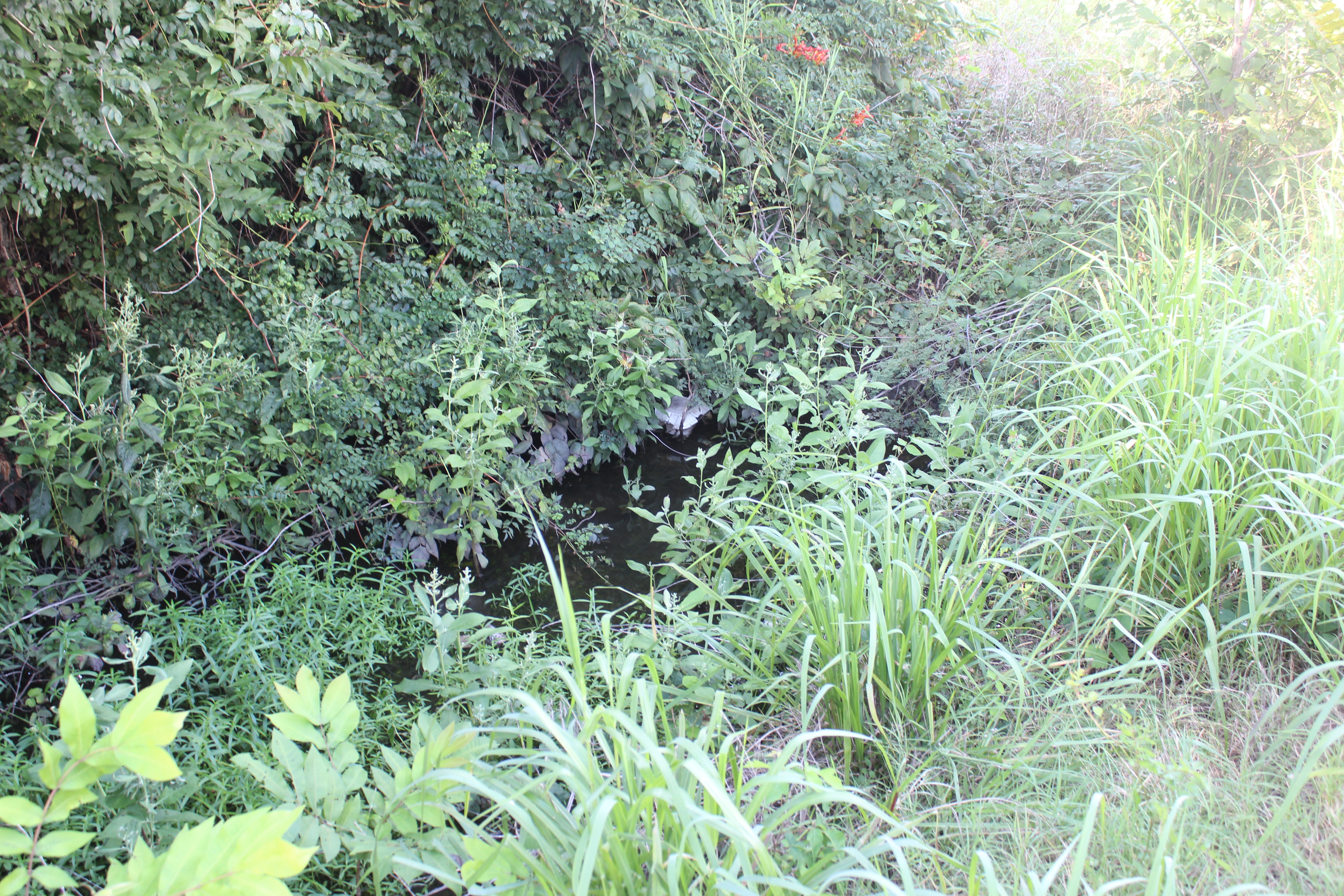 U.S. 49 drainage ditch