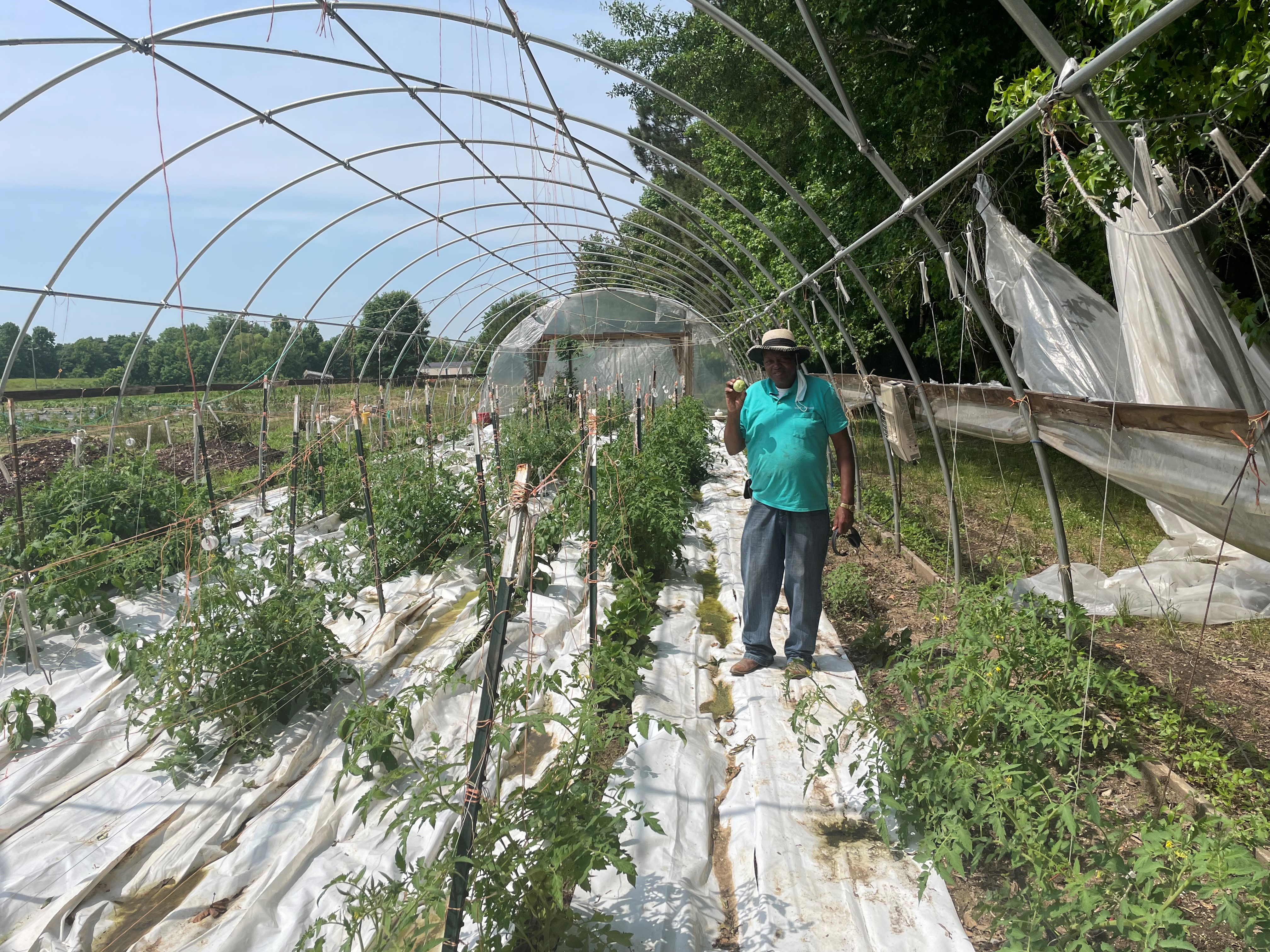 James Brewer holds a tomato just picked from the greenhouse on his farm.