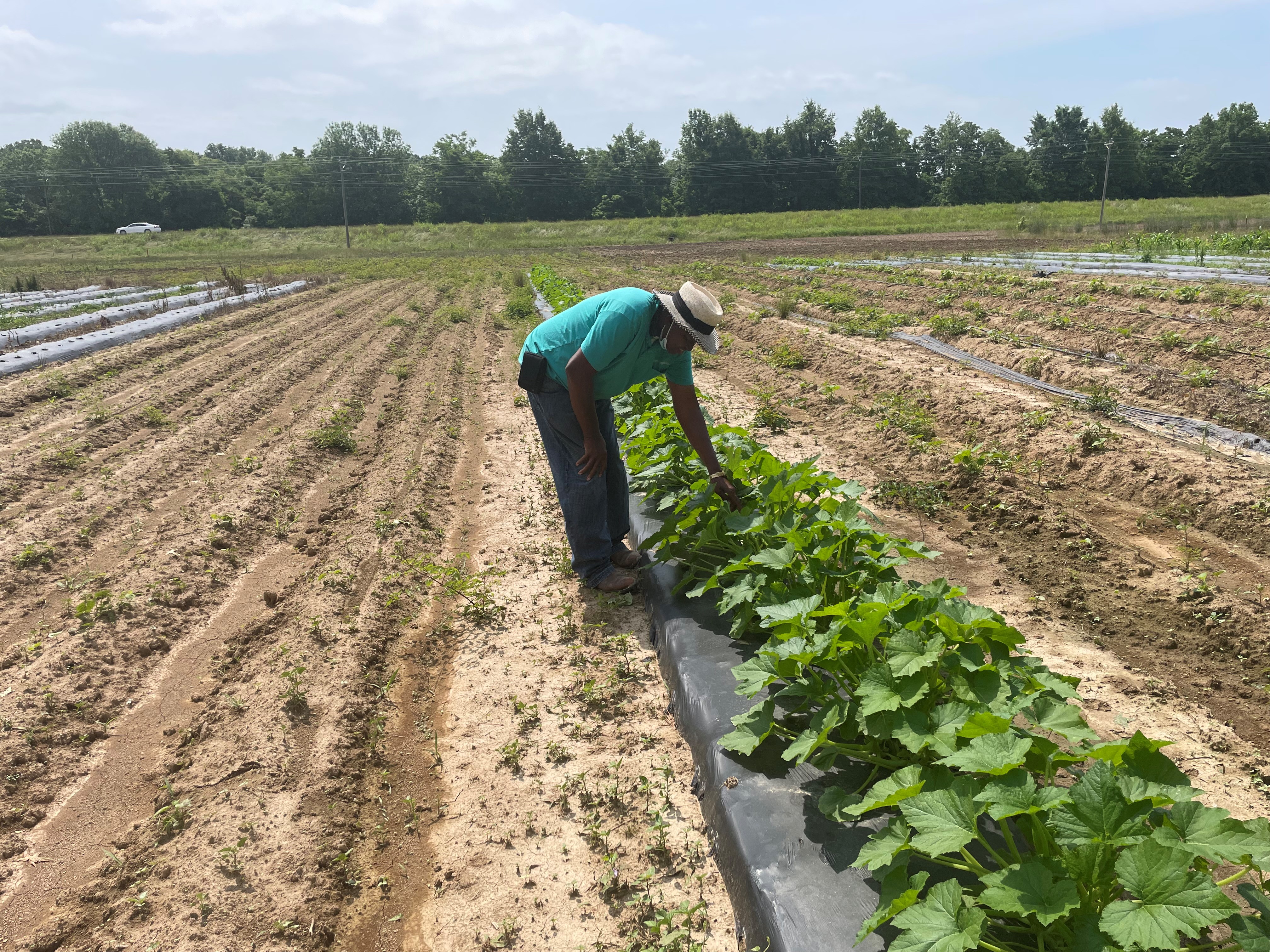 James Brewer says part of the appeal of farming is spending time outside.