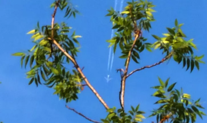 This shot screams "Florida" to me, even though it was taken in Greenwood, MS.