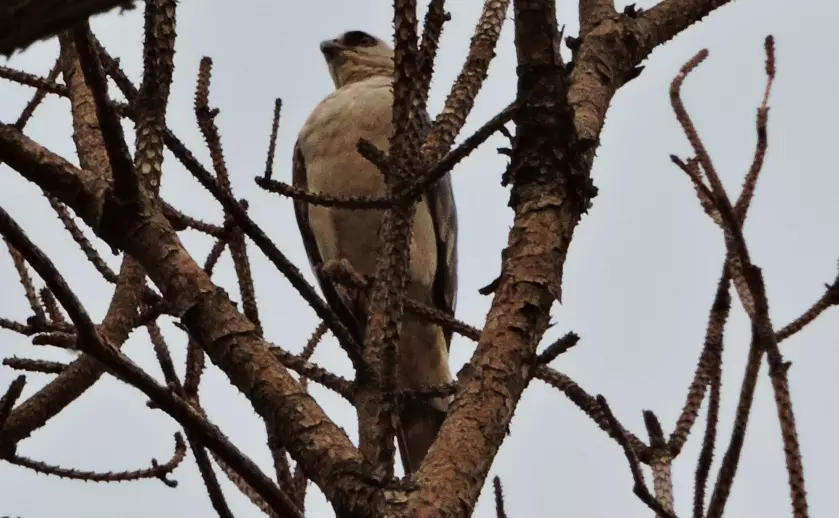 On guard and taking it very seriously.