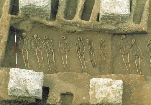 This photo courtesy of the Museum of London Archaeology (MOLA), provided in October 2022, shows excavation of the East Smithfield plague pits in London, which were used for mass burials in 1348 and 1349. According to a study published Wednesday, Oct. 19, 2022, in the journal Nature, our Medieval ancestors left us with a biological legacy: Genes that may have helped them survive the Black Death make us more susceptible to certain diseases today - a prime example of the way germs shape us over tim