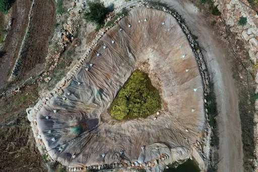 An artificial pond is seen at an agricultural field at Harf Beit Hasna village, in Dinnieh province, north Lebanon, Wednesday, Sept. 7, 2022. Farmers in a small mountainous town in Lebanon's northern Dinnieh province once could rely on rain to irrigate their crops and sustain a living. But climate change and the country's crippling economic crisis has left their soil dry and their produce left to rot. They rely on the little rain they can collect in their innovative artificial ponds to make enou