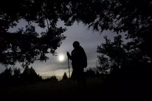 Delaine Spilsbury, an Ely Shoshone elder, stands among Rocky Mountain juniper trees on Nov. 11, 2023, in Bahsahwahbee, a site in eastern Nevada that is sacred to members of the Ely Shoshone, Duckwater Shoshone and the Confederated Tribes of the Goshute Reservation. Their ancestors were massacred by white people on several occasions at this site and tribal members believe their spirits live on in the trees. Spilsbury has worked for years on federal recognition for the sacred site. (AP Photo/Rick 