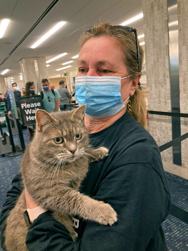 In this photo provided by Janet Williams, "Ashes" the cat, who had been lost by a Maine family since 2015, is held by Williams at Tampa International Airport, Wednesday Feb. 9, 2022, in Tampa, Fla. Denise Cilley, of Chesterville, Maine, says she was shocked to get a voicemail last week announcing her cat, Ashes, had been found nearly 1,500 miles away in Florida. Ashes is being returned to Maine on Wednesday, with Cilley planning to be on hand to collect her pet at Portland International Jetport.