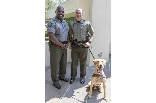 Mississippi Department of Wildlife, Fisheries and Parks Col. Jerry Carter, left, poses with Cpl. Bradley Starling and K-9 officer Charlie after Starling and Charlie received the department's medal of valor Thursday, Aug. 22, 2024, in Jackson, Miss., for locating three missing children on July 25, 2024. . (Mississippi Department of Wildlife, Fisheries and Parks/Shay Granberry via AP)