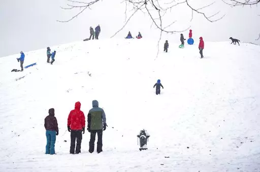 People enjoy Kite Hill in the snow at Gas Works Park Sunday, Dec. 26, 2021, in Seattle. Snow is blanketing parts of the Pacific Northwest because of unusually cold temperatures.  Seattle got between 3 and 5 inches of snow as of Sunday morning. (Ken Lambert /The Seattle Times via AP)
